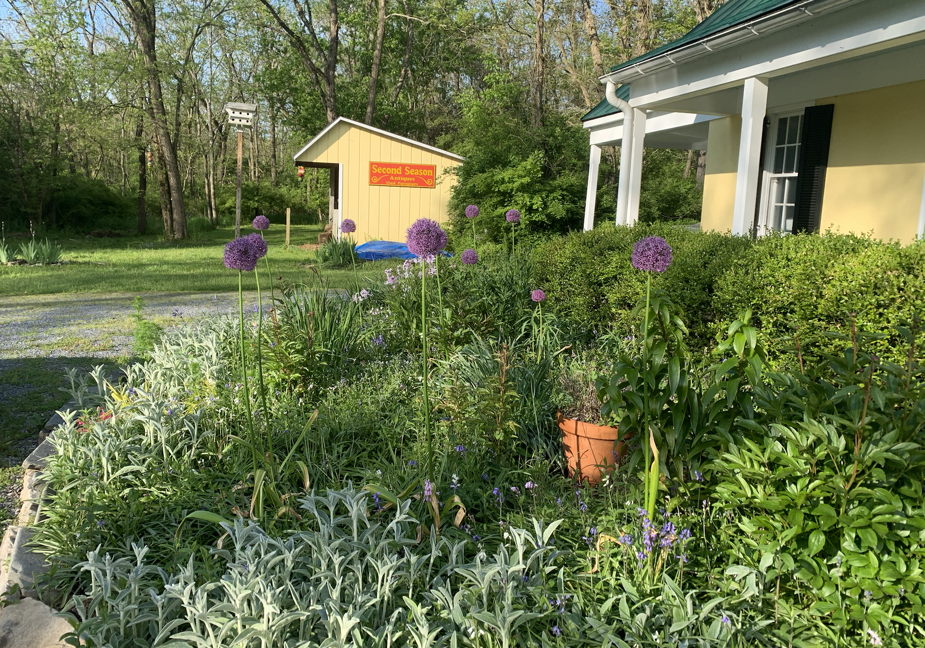 Perennial Gardens — Sugar Hill Gardens